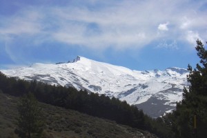 National Park of Sierra Nevada in Granada in Andalusia